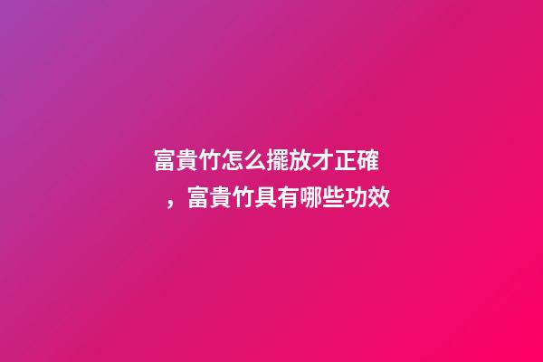 富貴竹怎么擺放才正確，富貴竹具有哪些功效